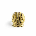 Anillo Ariel