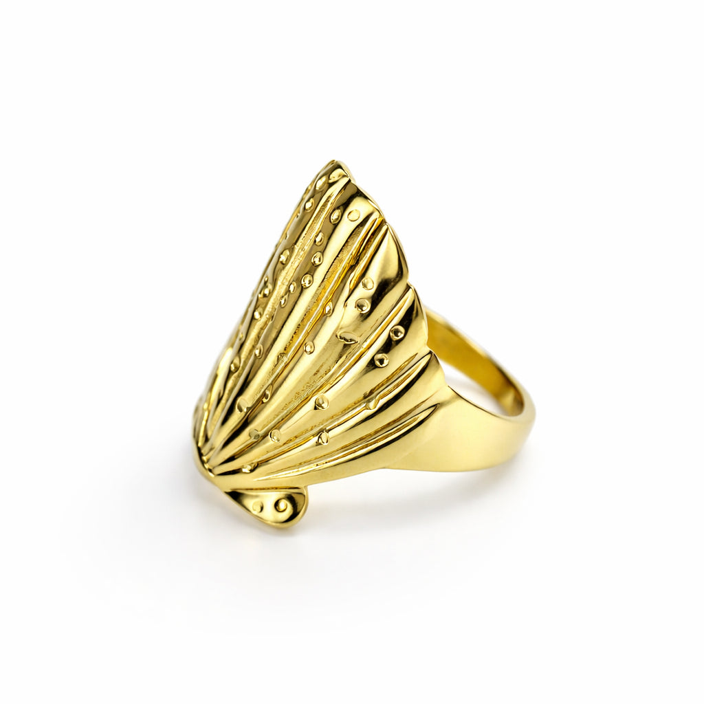 Anillo Ariel