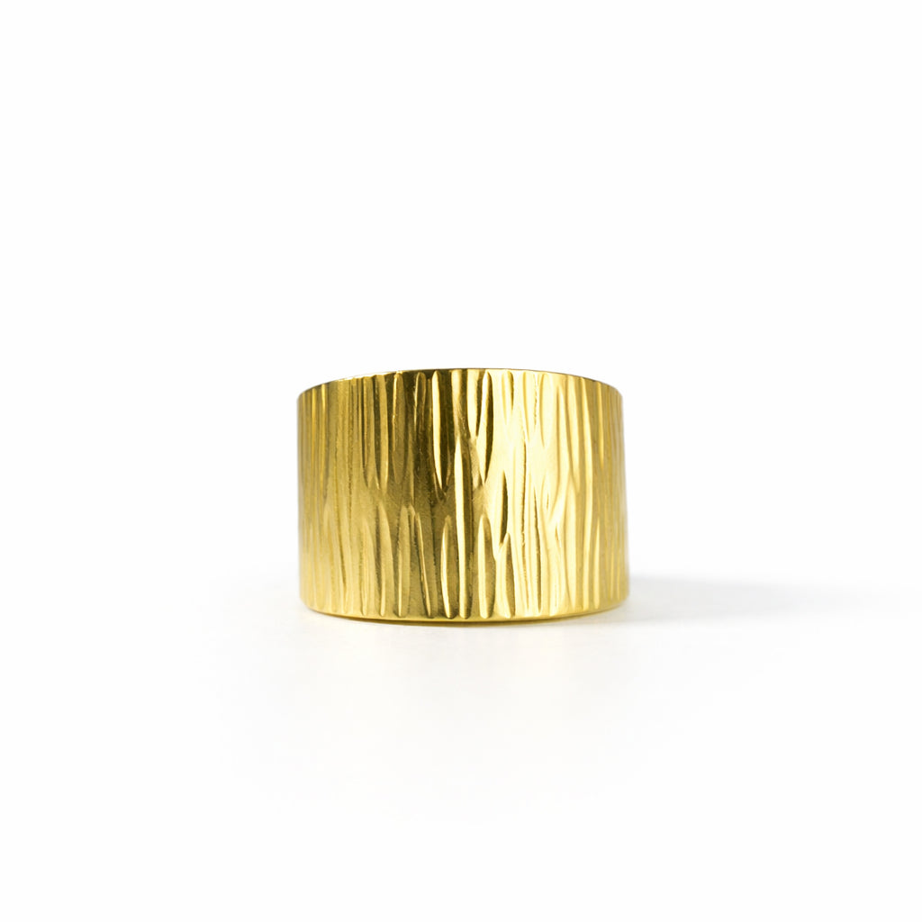 Anillo Rogue