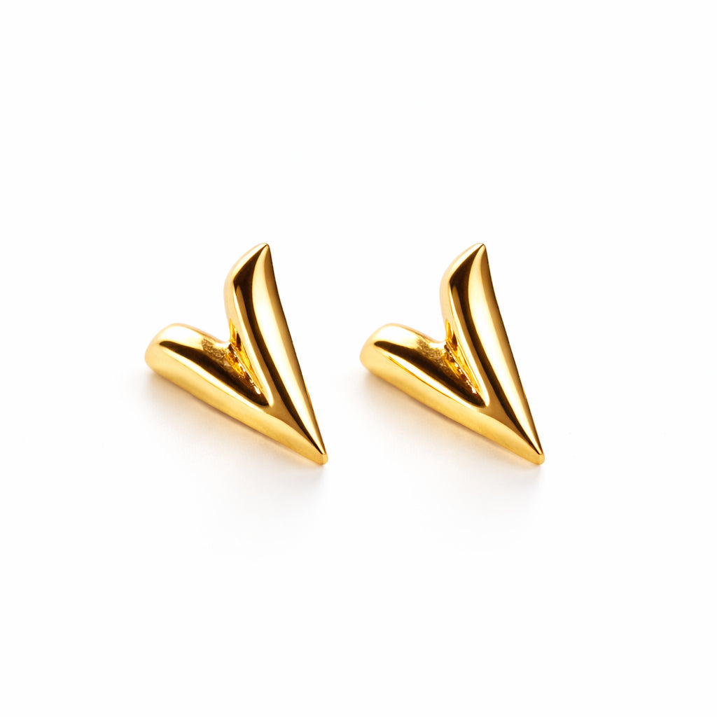 Aretes Corazón Espinado